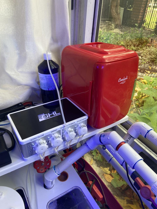 12476DD9-B076-4854-9FA1-F007D0CA452D