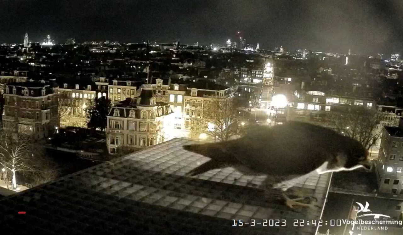 DE6CC809-24E7-49A6-A45E-B15EA2F0BE6A