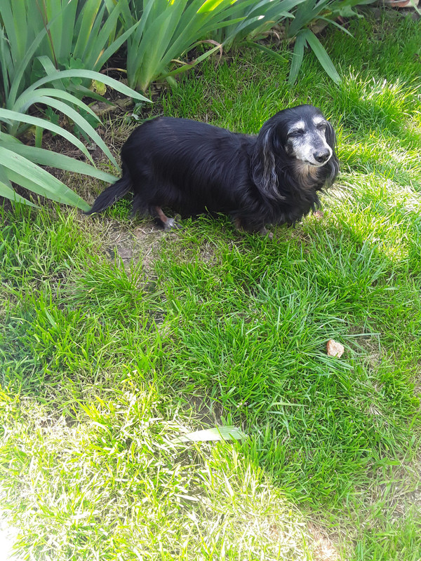 [Image: 20240507-162131.jpg]