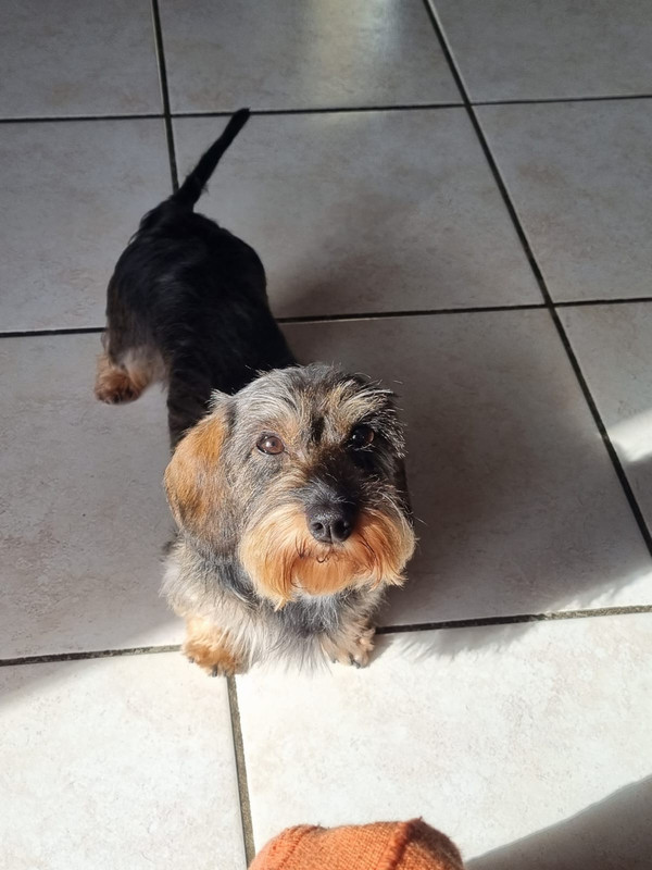 [Image: IMG-20231028-WA0007.jpg]