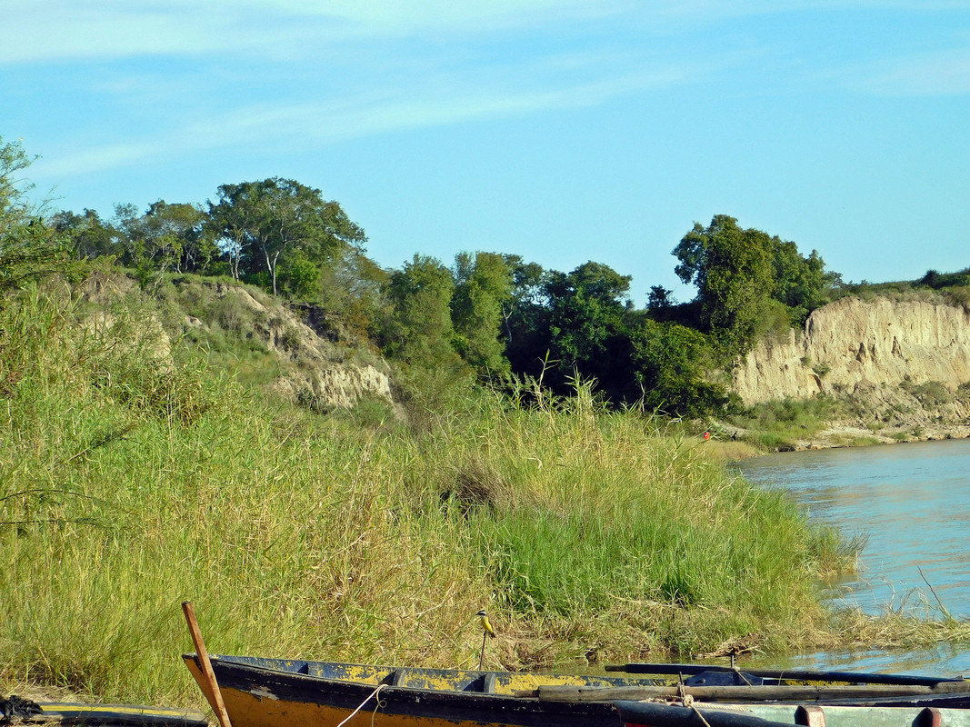 DSCN0135.jpg