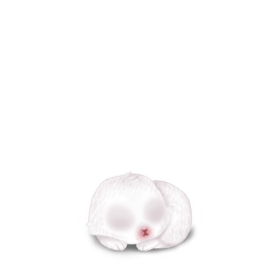 https://i.postimg.cc/qM4TVfdK/lapin-blanc-bebe.png