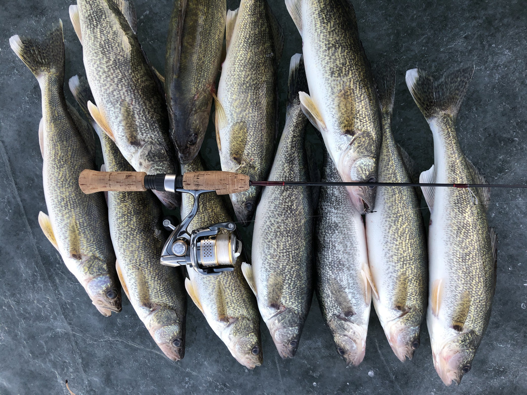 CF29D294-6628-44AC-98E4-D080AA89C948