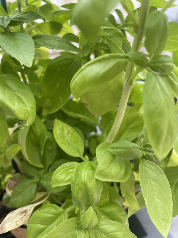 6C57B749-E9EA-45F2-B959-E71BA11DE9CA