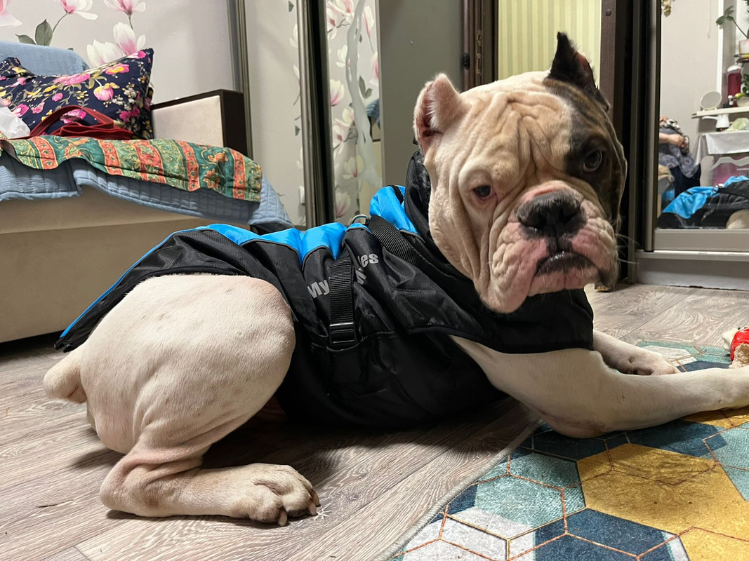 6C06F170-9781-489F-9407-ED68E90AD596