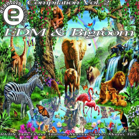 Various Artists - EDM & Bigroom Compilation Vol. 2 (2021)