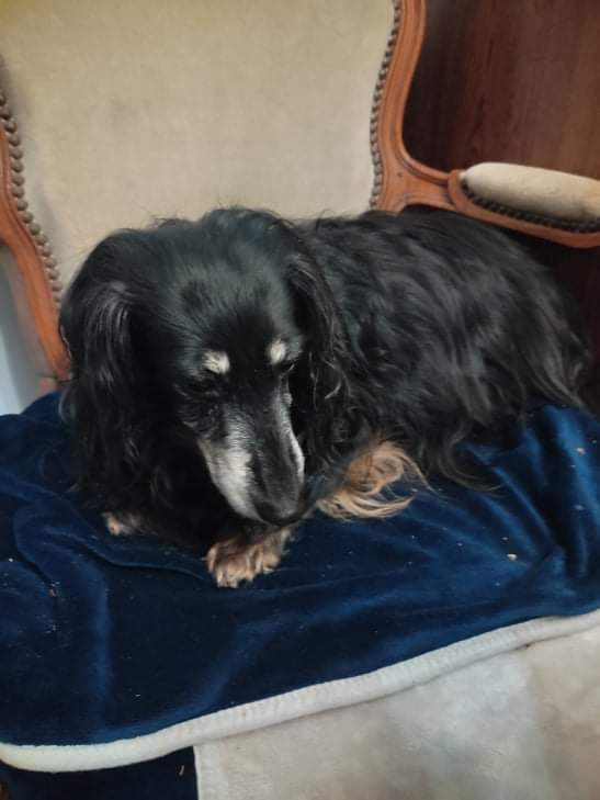 [Image: received-663340608039060.jpg]