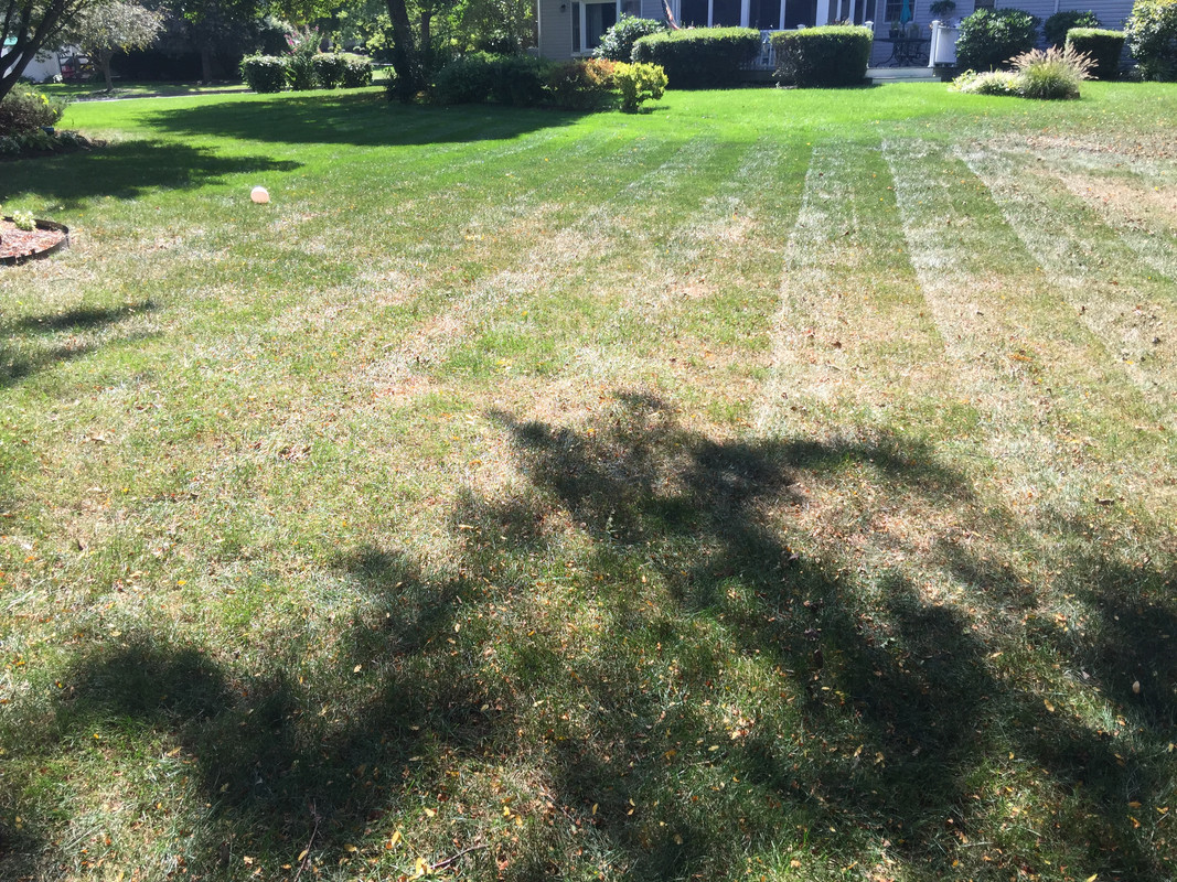 2A59D057-D539-40BA-9673-DCCE7A00291D