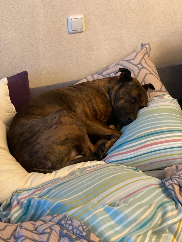 66C1D439-9A2A-44AA-8654-02569E24039C