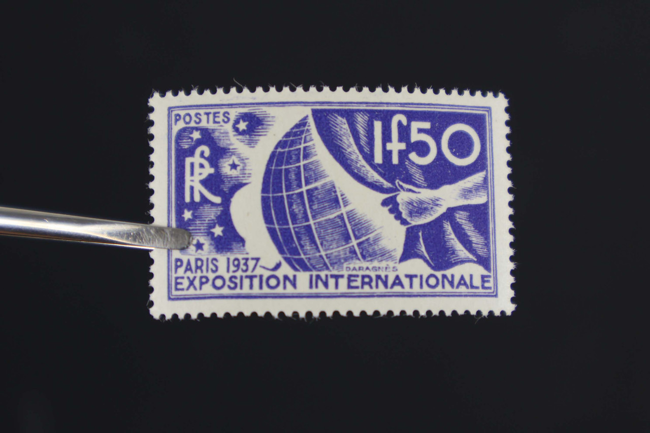 IMG 7060