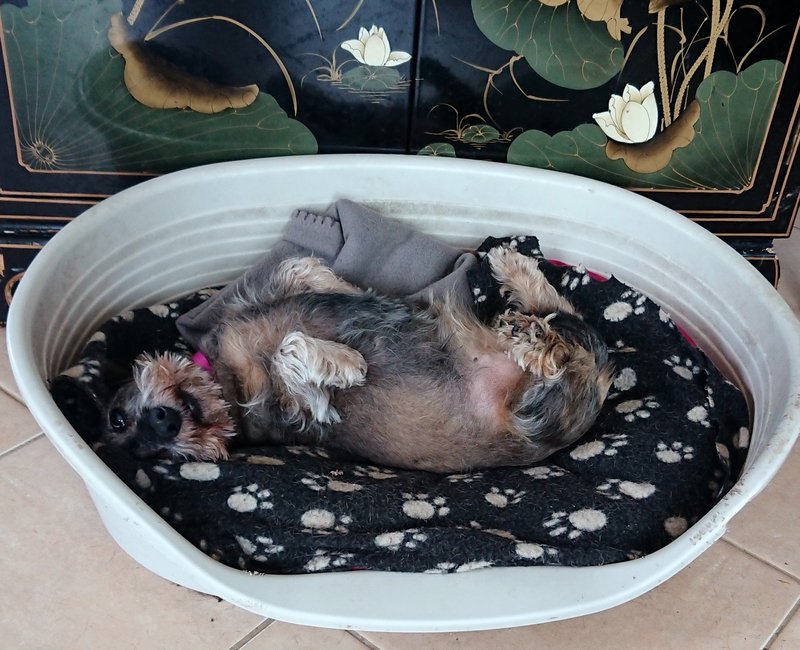 [Image: 20240407-140302.jpg]