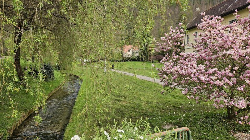 Slika