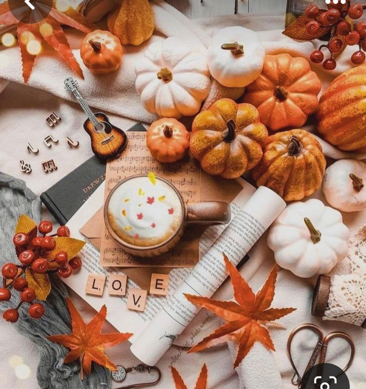 Screenshot_20230909_232805_Pinterest