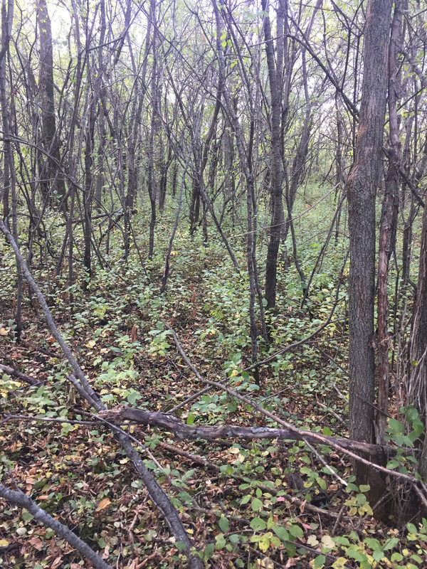 8402DC43-5A12-43AF-A2DA-25AA7396A923