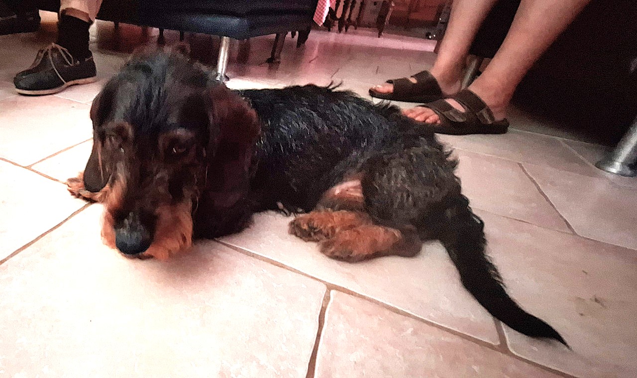 [Image: 20240815-211225.jpg]