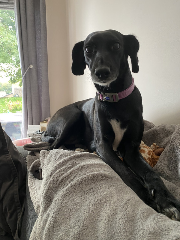 51F81131-C941-4FD5-8749-0E8FB65613FC