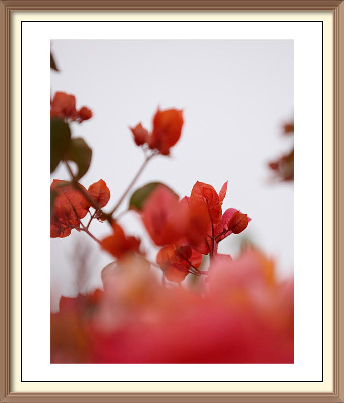imageedit-21-8253263215