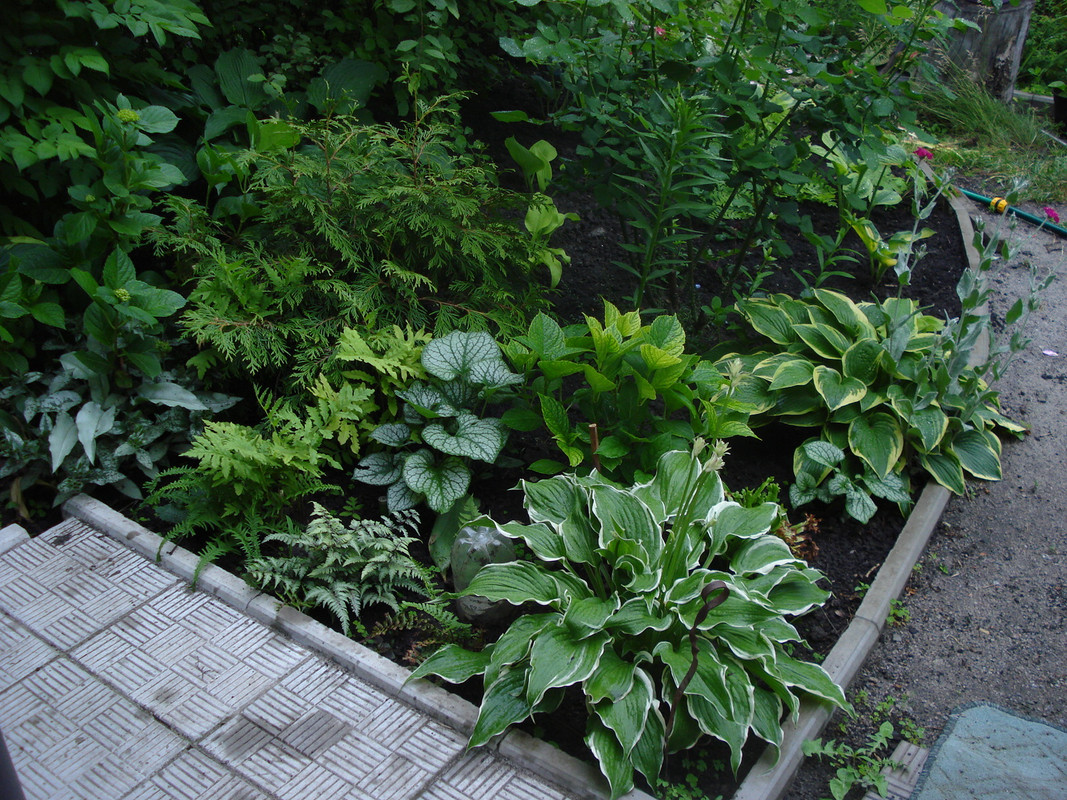 DSC03850