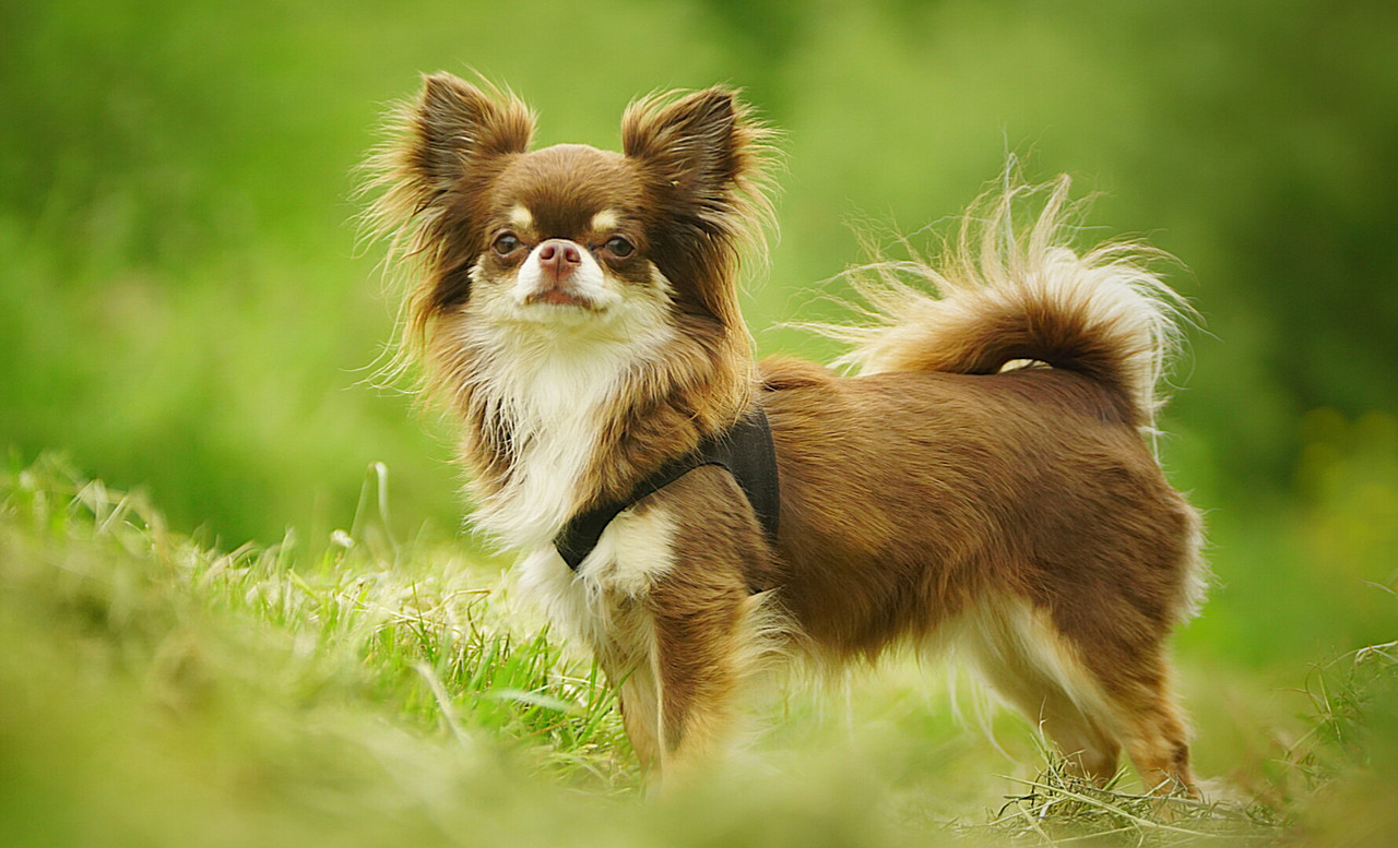 Lumii_20210605_144308640