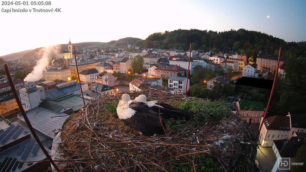 Tiešraidē no stārķa ligzdas uz alus darītavas skursteņa Trutnovā 6-39-27 screenshot