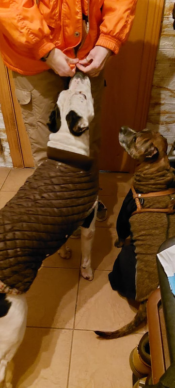 0CD9A4BC-7959-43C3-B186-A4C4BC9B2D03