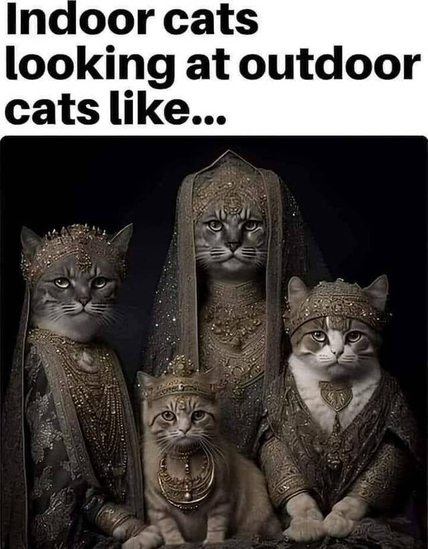 picdump-kw47-2024-101.jpg