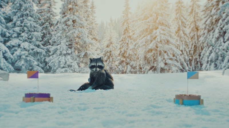 Raiffeisenbank-Racoon-Albert-2