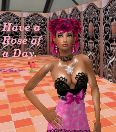 Sheba-Rose77