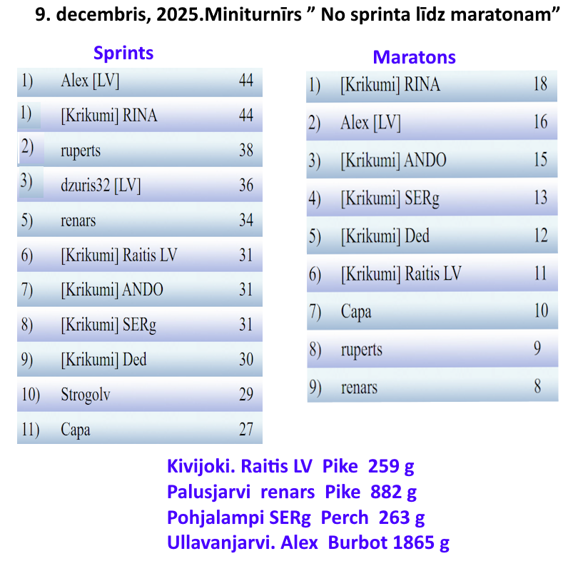 Скриншот 09 12 2025 233047
