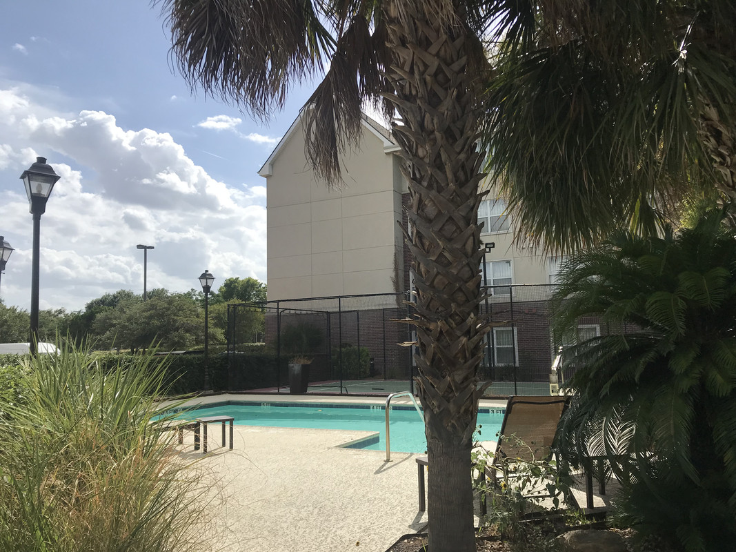 433FDCD6-04F4-4175-A481-83259DA1D843