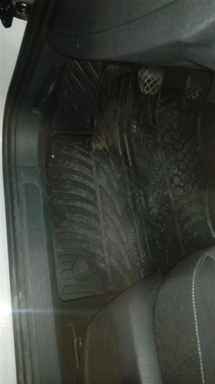 IMG-20190515-WA0119 (Large)