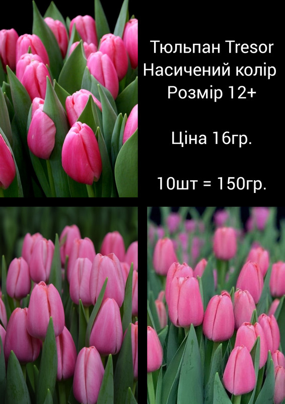 GridArt_20230810_092815144