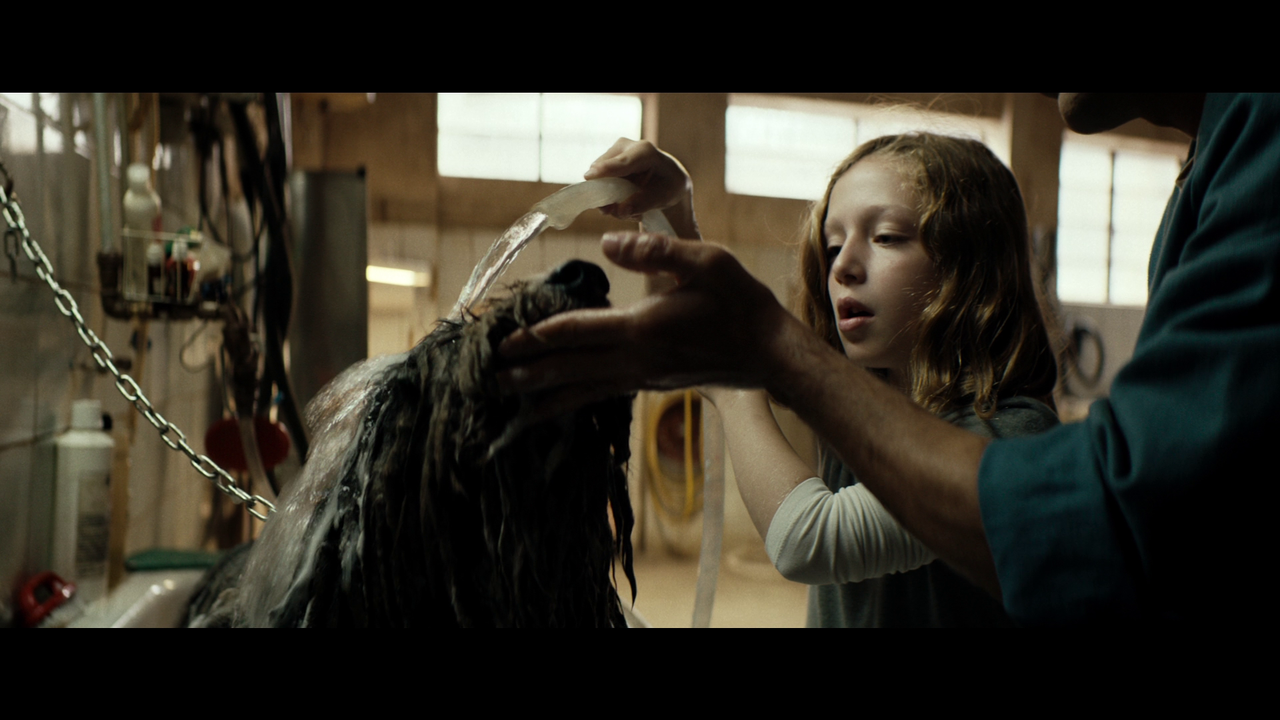 vlcsnap-2022-07-23-16h33m54s043