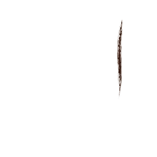 Scar11-d.png