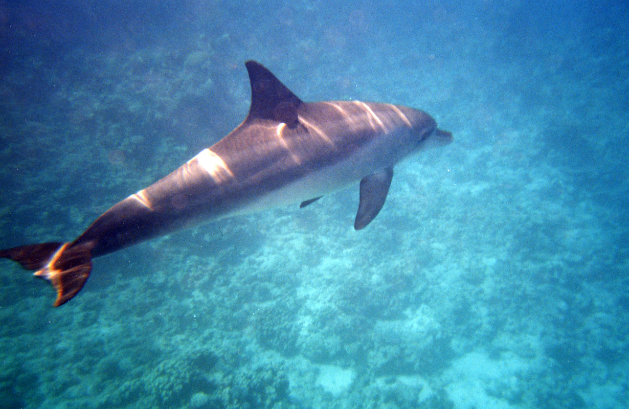 МАКСИМ ПЛАЗА ЦИФ?А (22)