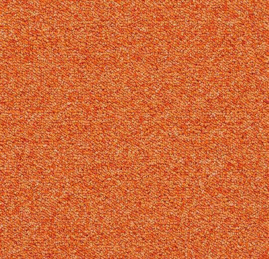 13450835-1112041242189399-6361248637646788259-n