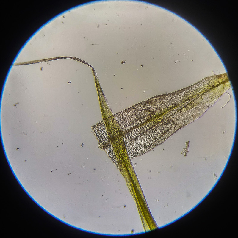 IMG 20250614 124208 HDR