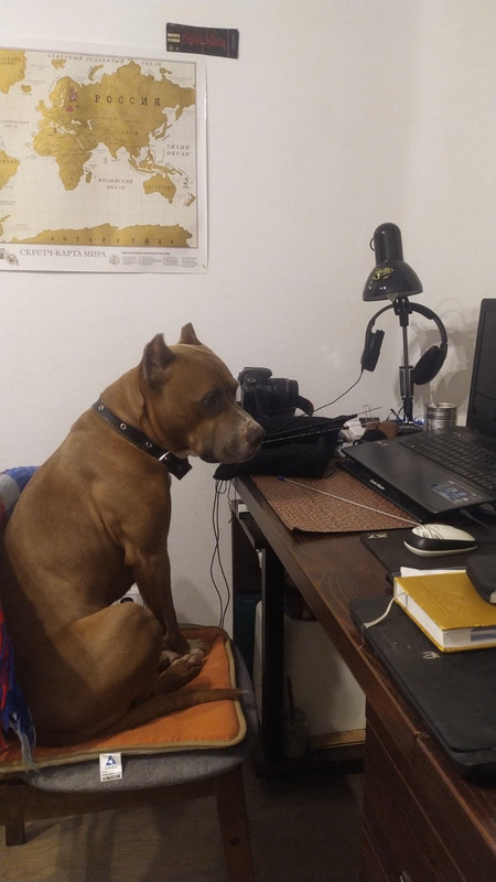 BD0BDE21-1C1F-42F8-B1B0-86C1CF422F46