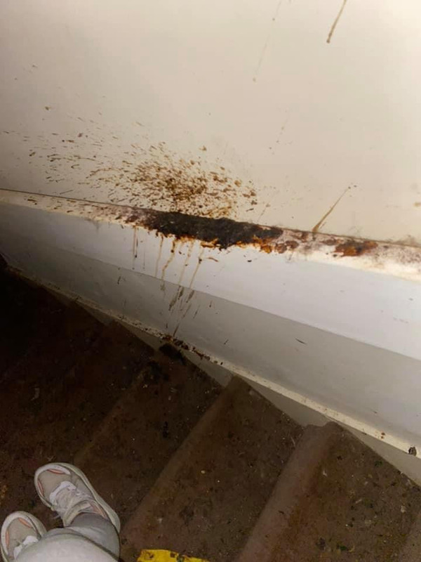 77E933FD-5FF8-4220-8463-8BCBE5D91339