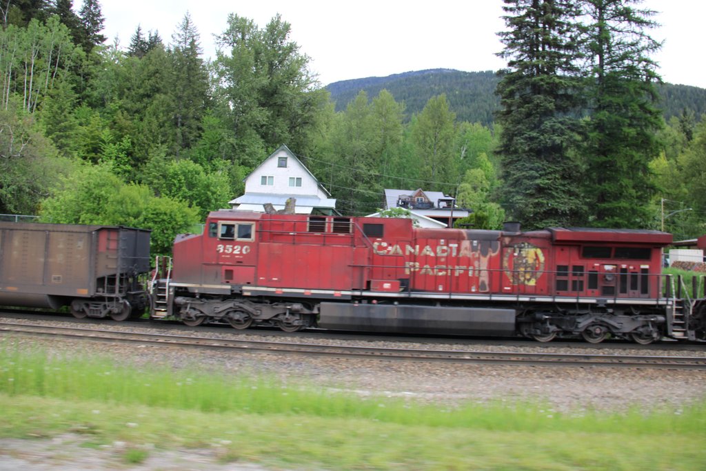 IMG-1342.jpg
