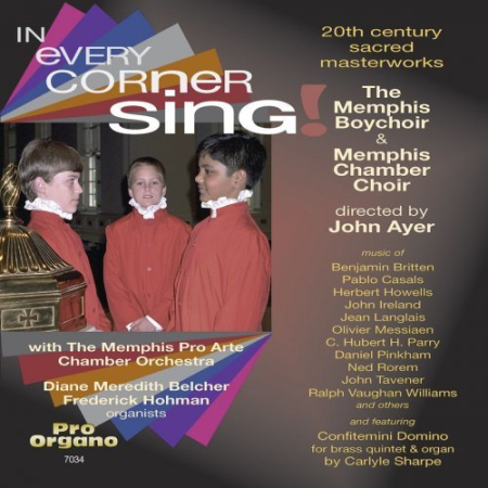624806c6 0ae0 4150 9f05 733f7c20d016 - Various Artists - In Every Corner Sing! (2020)