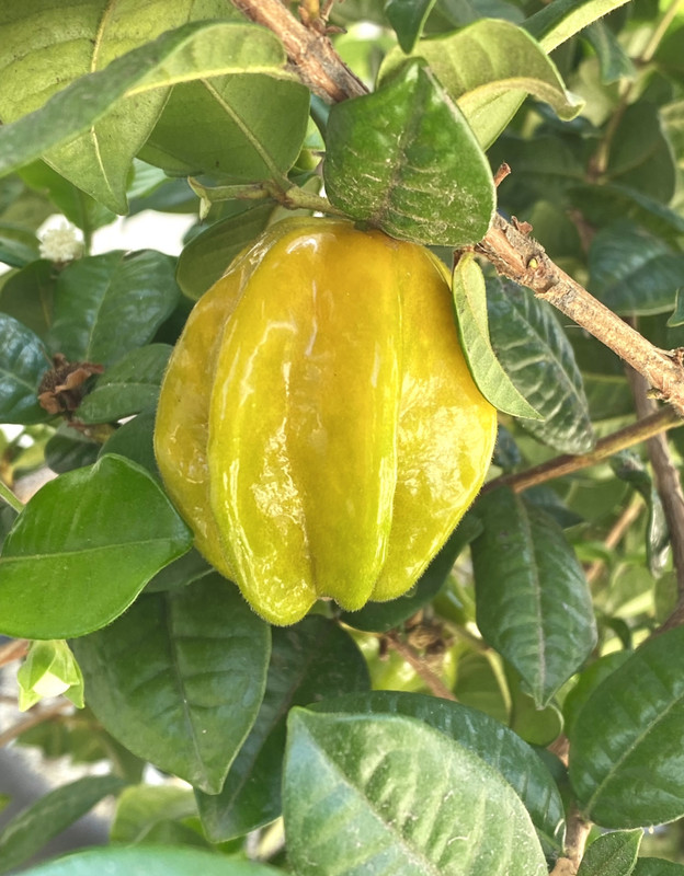 066AF05B-F083-47A2-ABB3-8C945A8E85A5