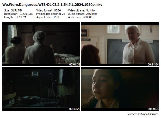 Bývaly jsme nebezpečné / We Were Dangerous (2024)