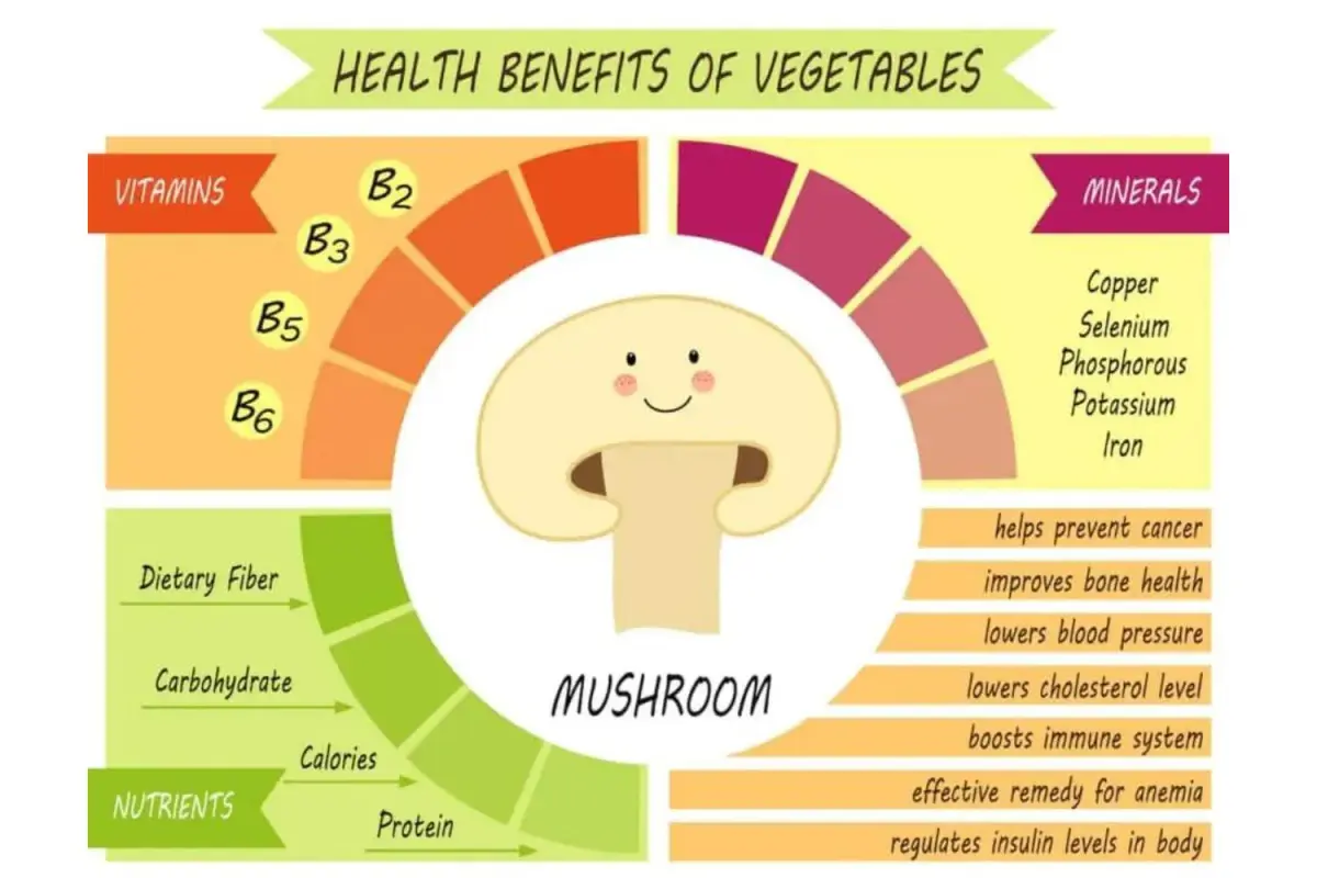 Mushroom nutrition infographic
