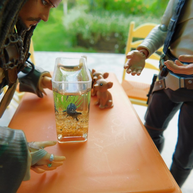 Дачное Маттел к Хелл 2025, Харли и Ко продолжение 203