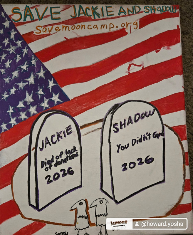 1776130053907