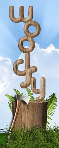 woodsy-3.png
