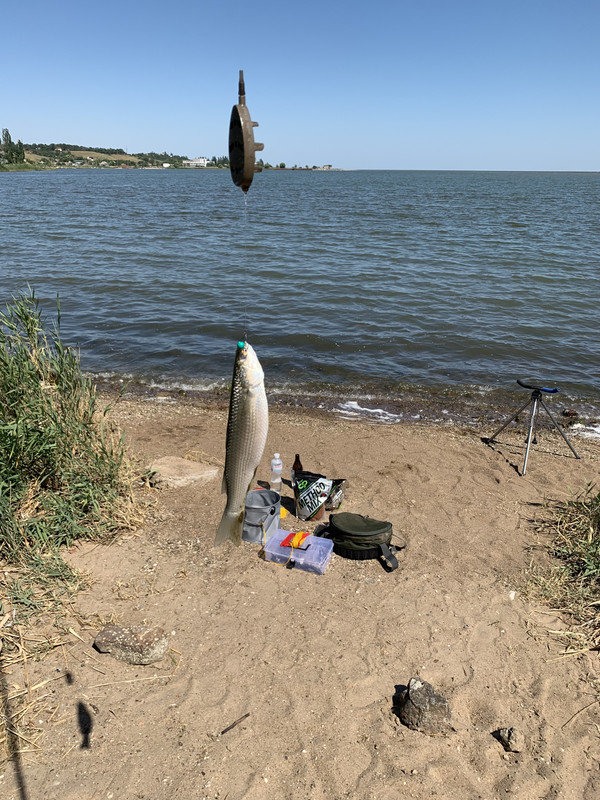 FB28CDA8-DD0E-4AF5-8BD8-D356BA3DBE1D