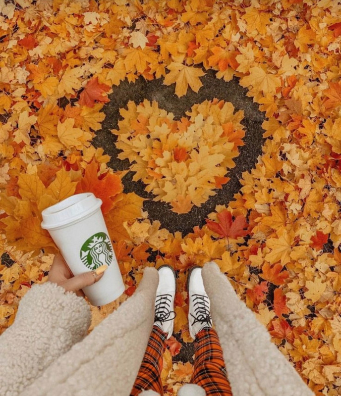 Screenshot_20240210_221342_Pinterest