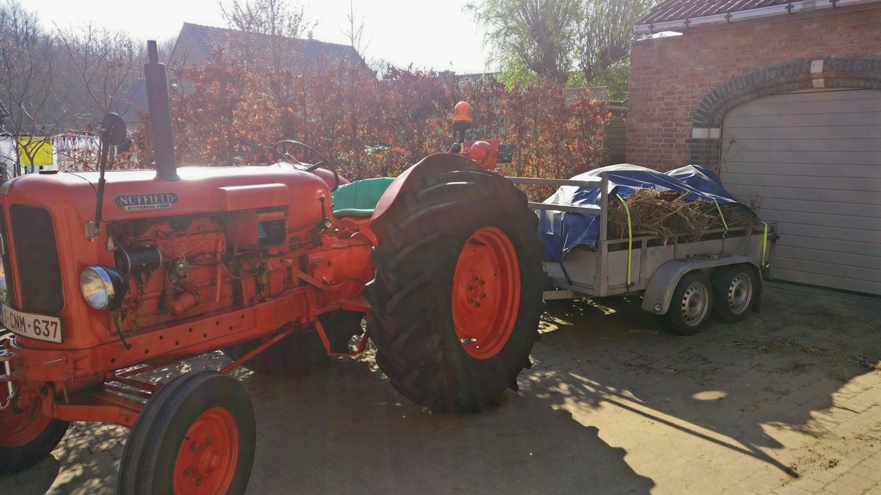 IMG_20200410_103223~2